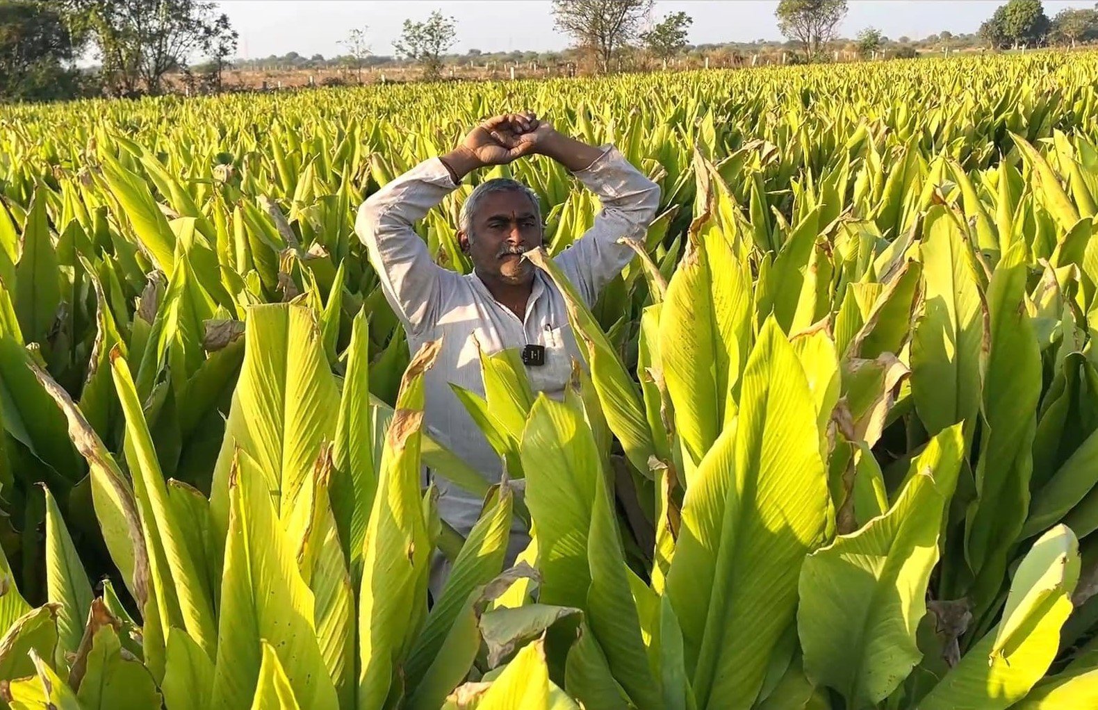 Sustainable Farming